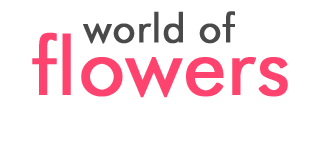 World of Flowers Ltd