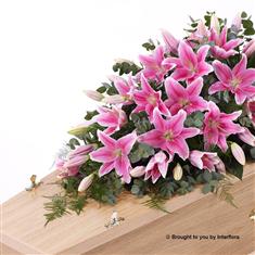 Lily Casket Spray - Pink 4ft