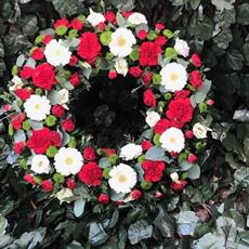 Red and Green Wreath