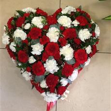 Carnation Heart - 14 Inches