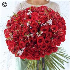 Valentine&#39;s 100 Red Rose Hand-tied