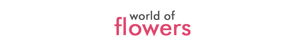 World of Flowers Ltd